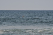JMG_3283
