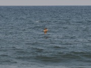 JMG_3284