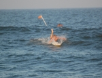 2015 Midway 141.JPG