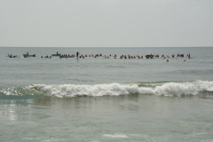 JMG_0893_00001