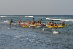 JMG_3936